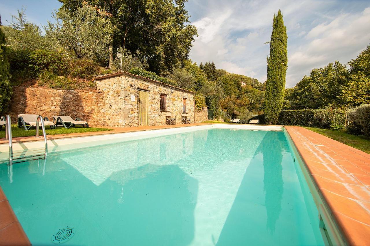 Casetta Di Butia, Ginestra Apartment With Swimming Pool Borgo a Mozzano Dış mekan fotoğraf