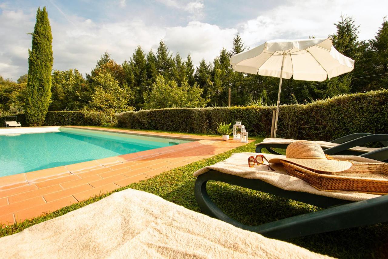 Casetta Di Butia, Ginestra Apartment With Swimming Pool Borgo a Mozzano Dış mekan fotoğraf