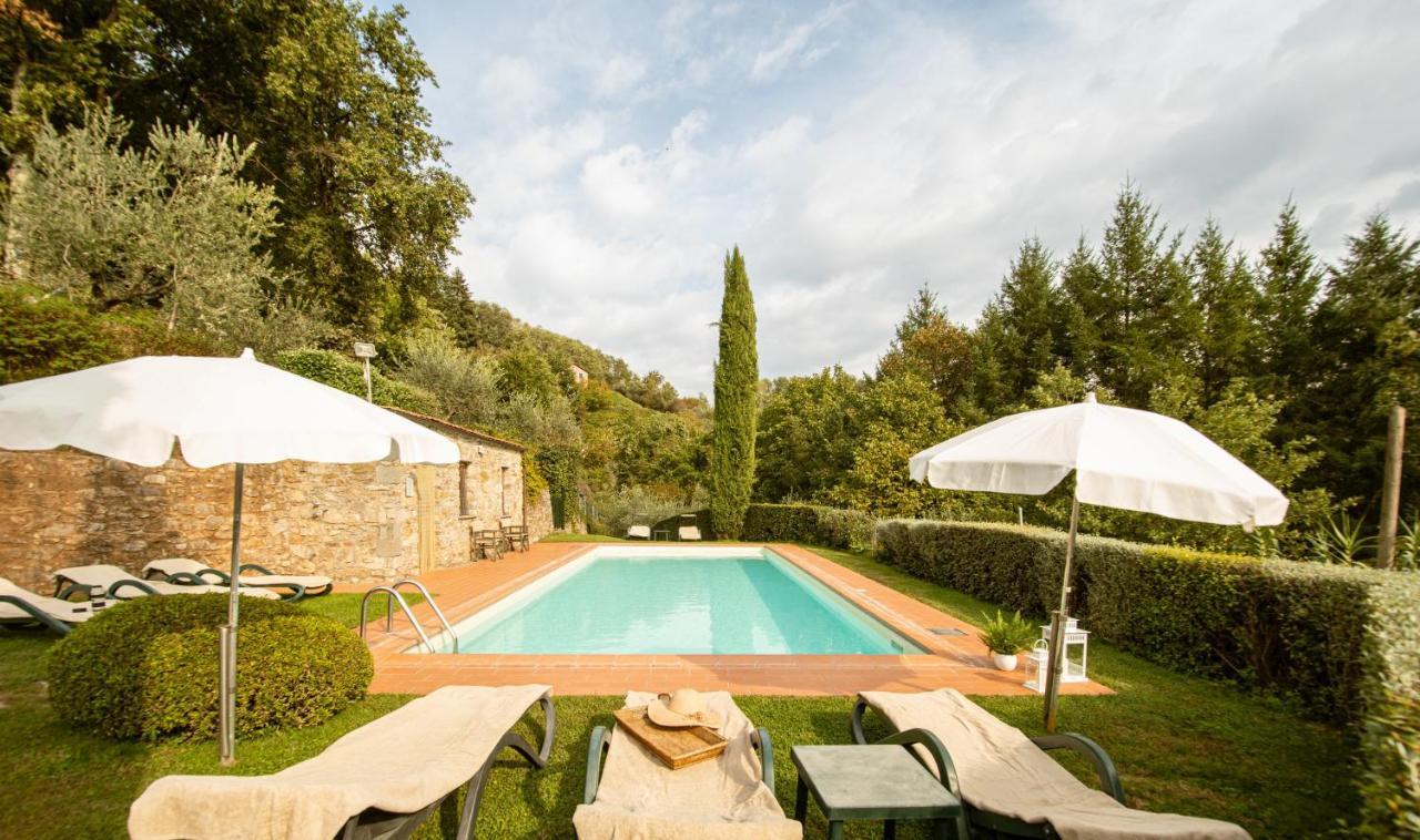 Casetta Di Butia, Ginestra Apartment With Swimming Pool Borgo a Mozzano Dış mekan fotoğraf