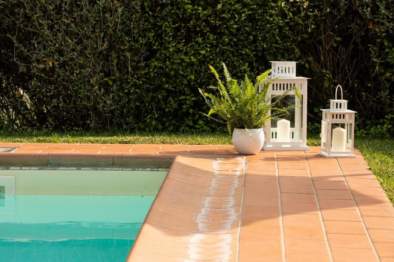 Casetta Di Butia, Ginestra Apartment With Swimming Pool Borgo a Mozzano Dış mekan fotoğraf
