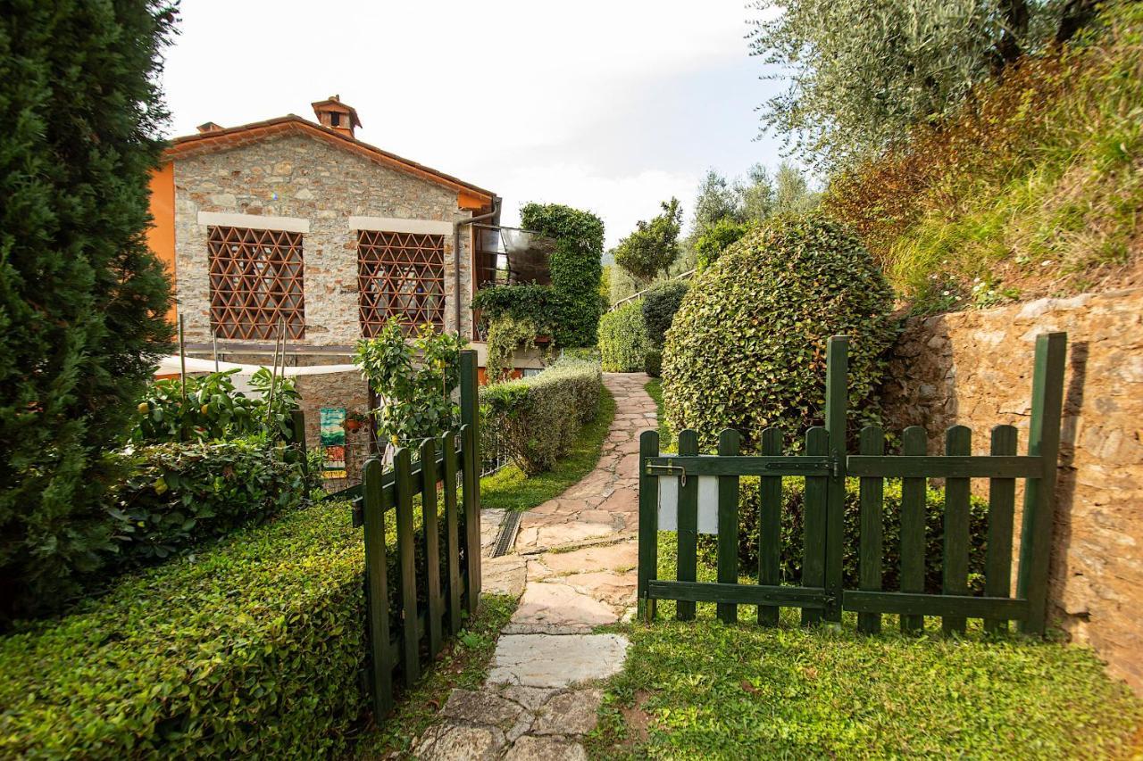 Casetta Di Butia, Ginestra Apartment With Swimming Pool Borgo a Mozzano Dış mekan fotoğraf