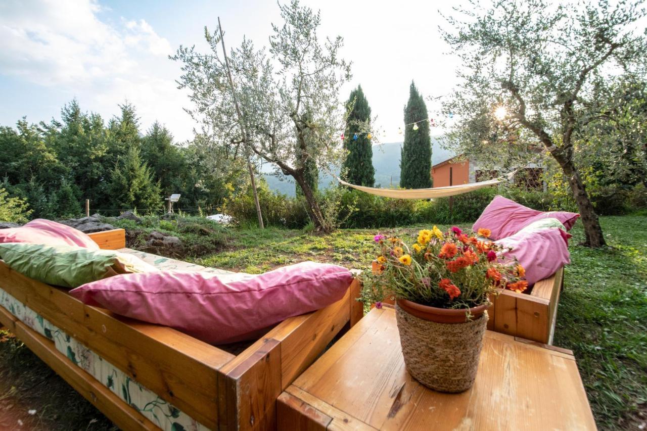 Casetta Di Butia, Ginestra Apartment With Swimming Pool Borgo a Mozzano Dış mekan fotoğraf