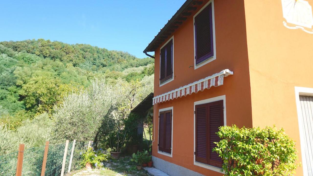 Casetta Di Butia, Ginestra Apartment With Swimming Pool Borgo a Mozzano Dış mekan fotoğraf
