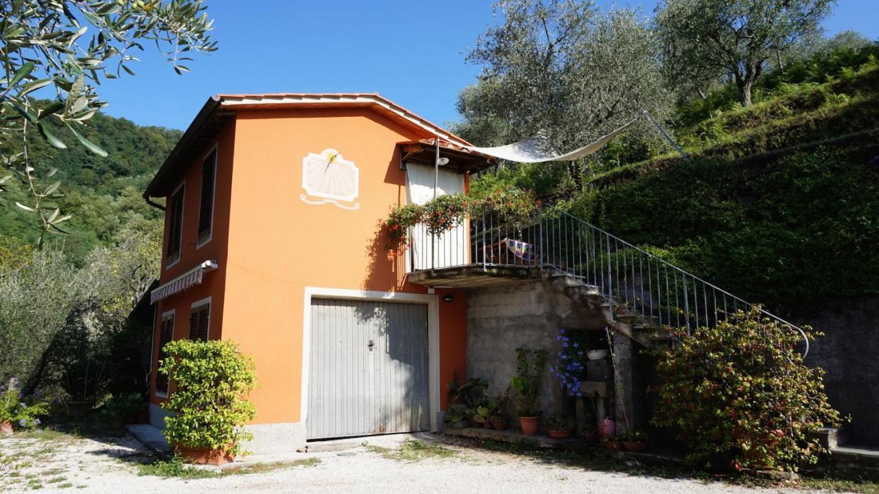 Casetta Di Butia, Ginestra Apartment With Swimming Pool Borgo a Mozzano Dış mekan fotoğraf