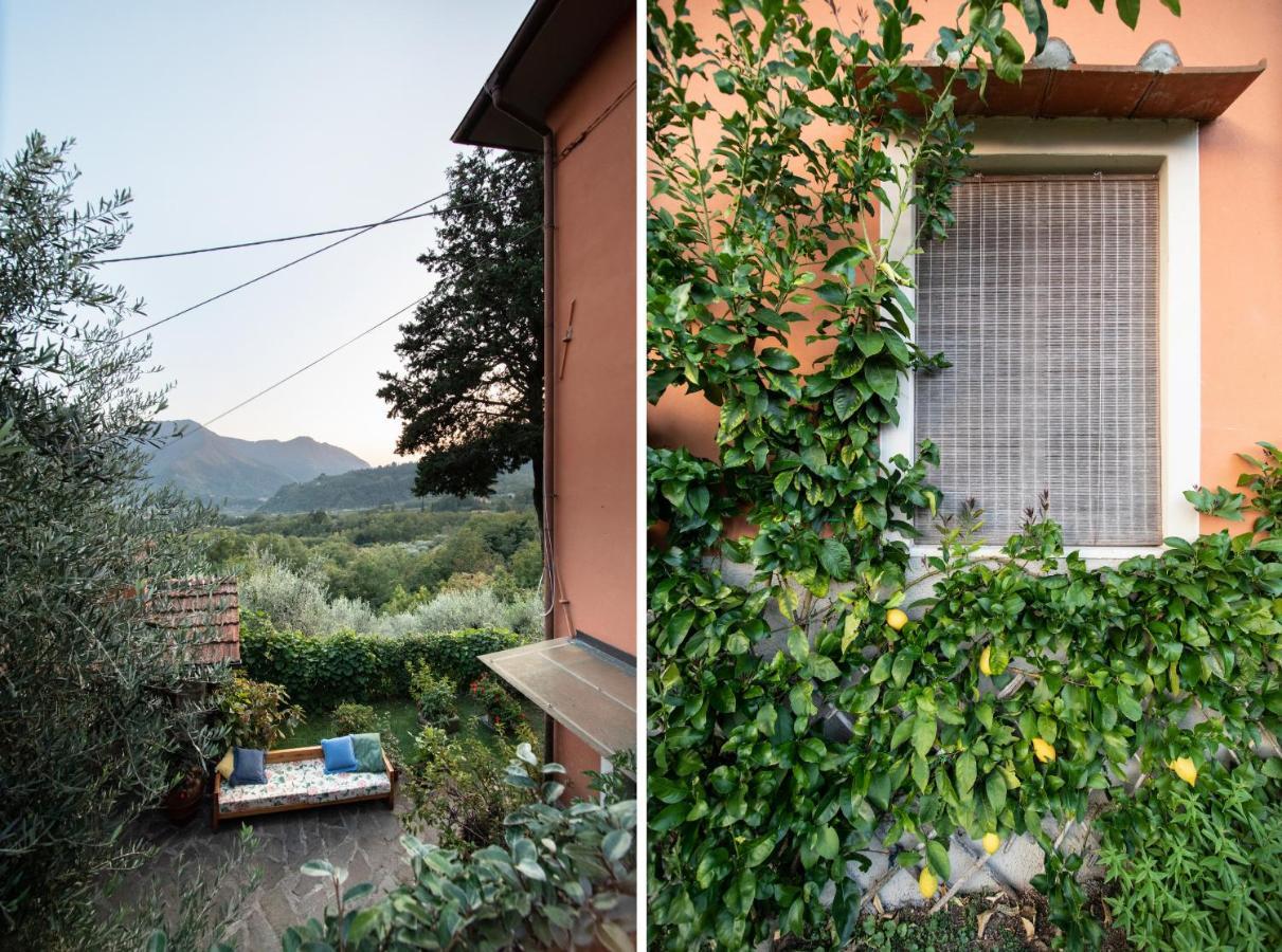 Casetta Di Butia, Ginestra Apartment With Swimming Pool Borgo a Mozzano Dış mekan fotoğraf