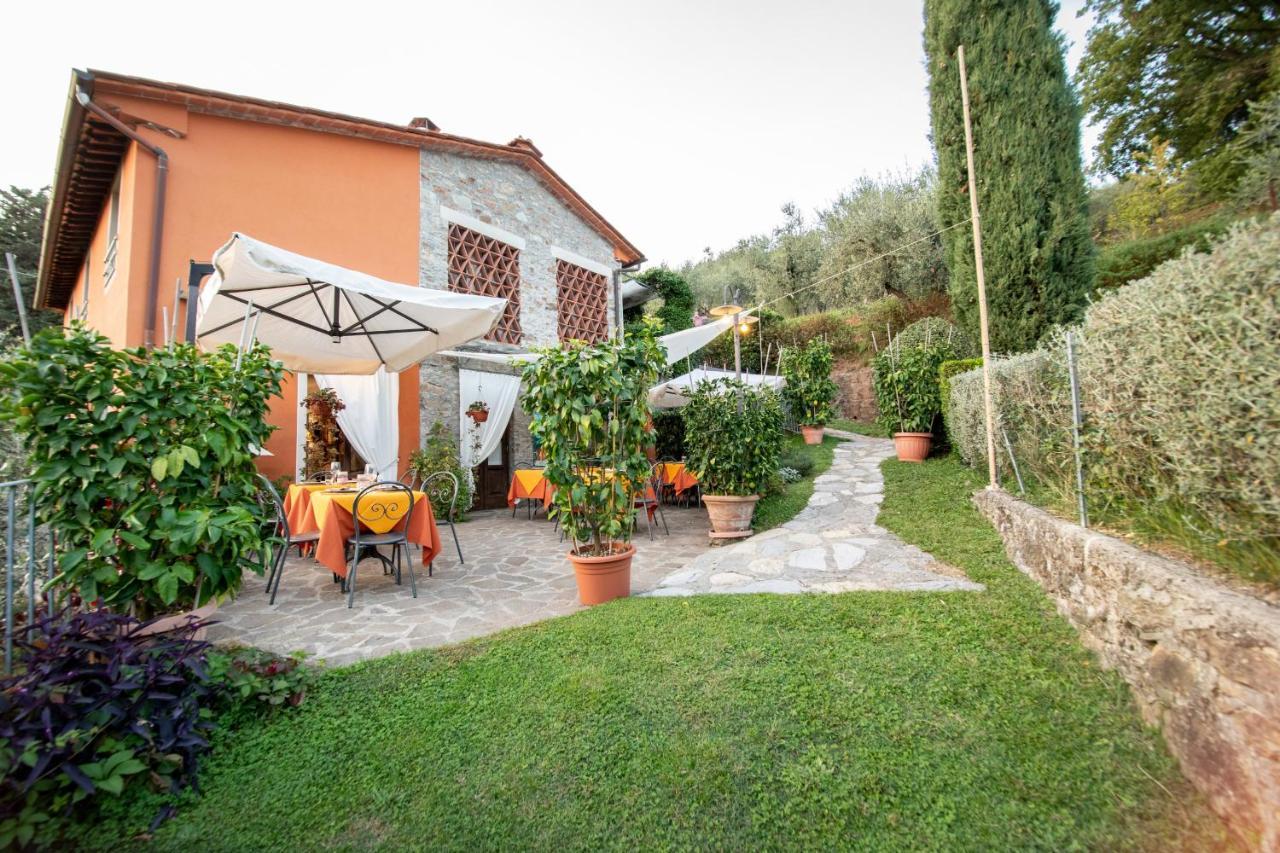 Casetta Di Butia, Ginestra Apartment With Swimming Pool Borgo a Mozzano Dış mekan fotoğraf