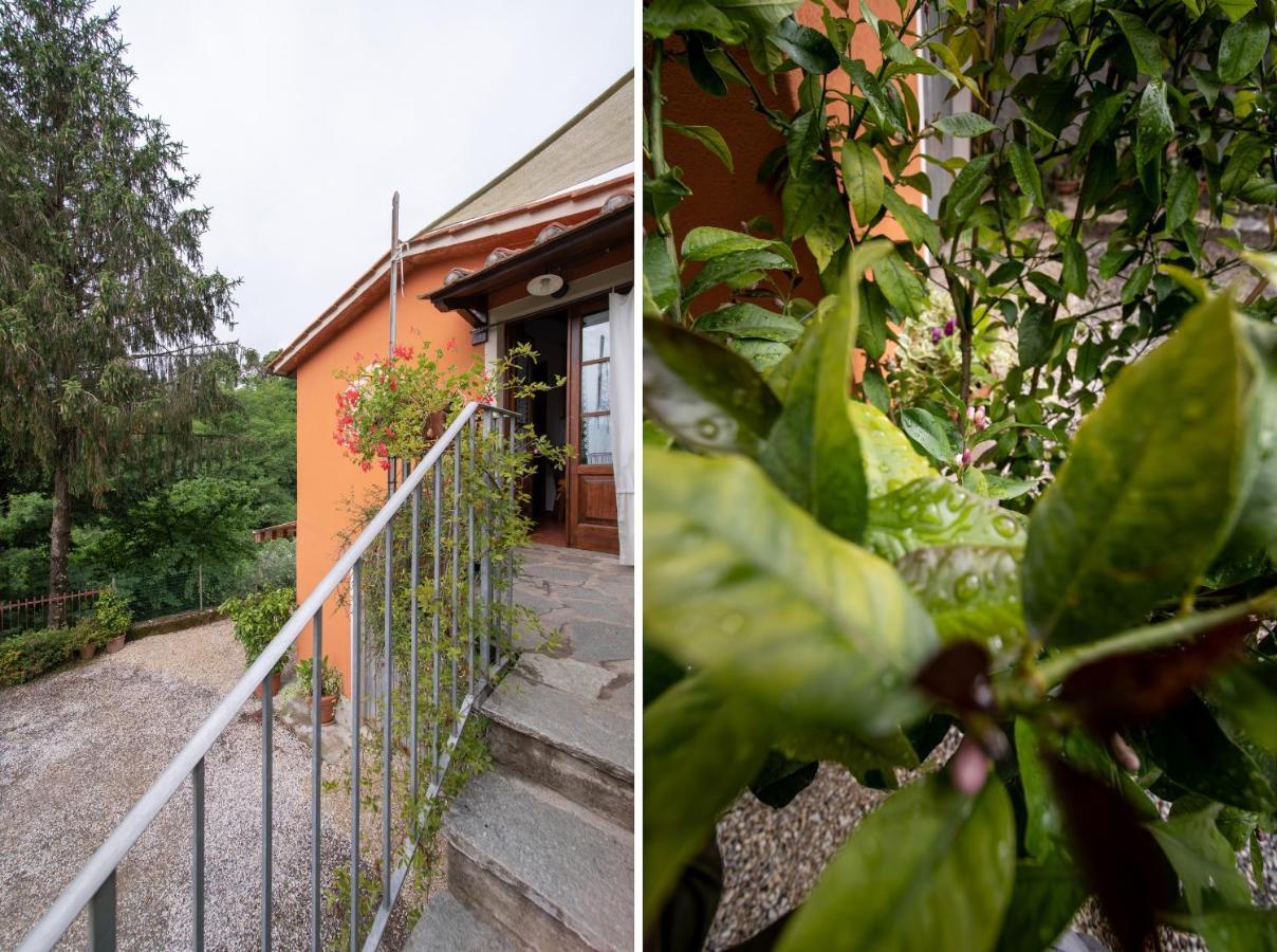 Casetta Di Butia, Ginestra Apartment With Swimming Pool Borgo a Mozzano Dış mekan fotoğraf