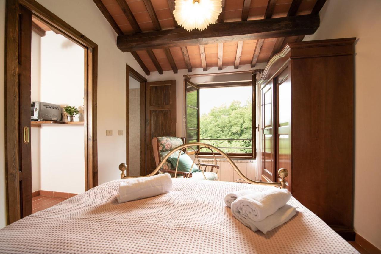 Casetta Di Butia, Ginestra Apartment With Swimming Pool Borgo a Mozzano Dış mekan fotoğraf
