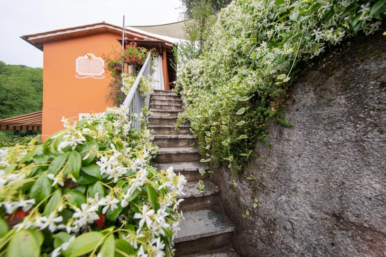 Casetta Di Butia, Ginestra Apartment With Swimming Pool Borgo a Mozzano Dış mekan fotoğraf