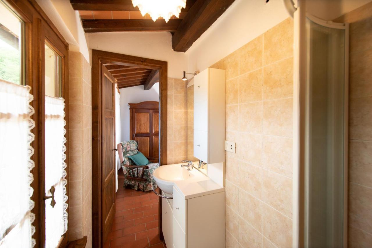 Casetta Di Butia, Ginestra Apartment With Swimming Pool Borgo a Mozzano Dış mekan fotoğraf